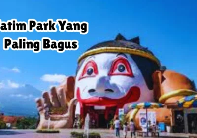 Manakah Jatim Park Yang Paling Bagus? Berikut Ulasannya!